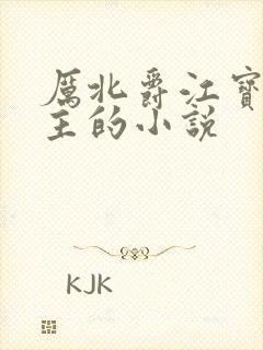 厉北爵江宝宝男主的小说