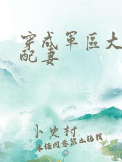 穿成军区大佬女配妻