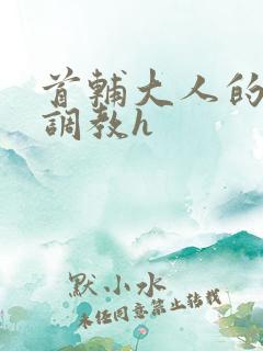 首辅大人的花式调教h