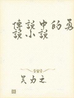 传说中的勇者传说小说