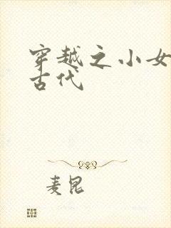 穿越之小女子闹古代