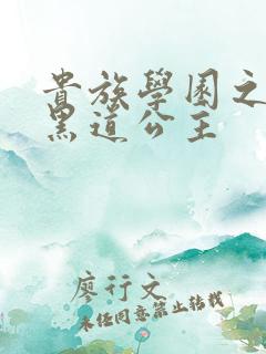 贵族学园之我的黑道公主