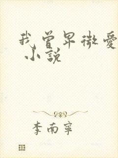我曾卑微爱过你 小说