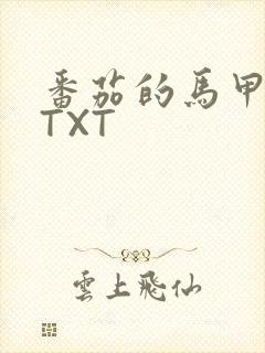 番茄的马甲小说TXT