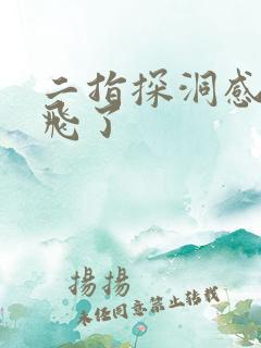 二指探洞感觉要飞了