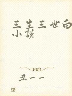 三生三世白暮泪小说