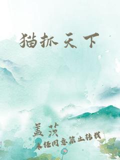 猫抓天下