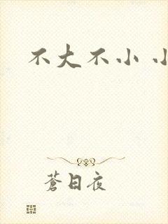 不大不小 小说