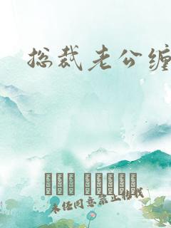 总裁老公缠上门