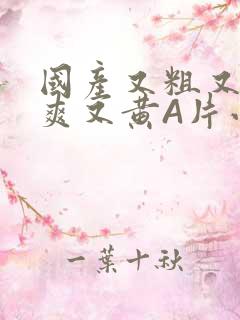 国产又粗又猛又爽又黄A片小说