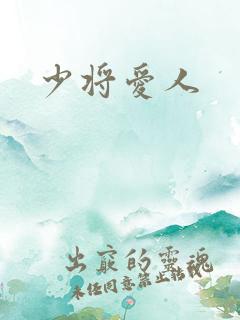 少将爱人