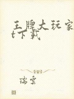 王牌大玩家txt下载