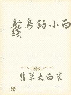 鸵鸟的小白脸路线