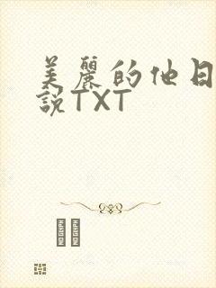 美丽的他日剧小说TXT