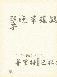 楚晚宁张腿放棋子