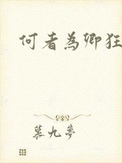 何者为卿狂