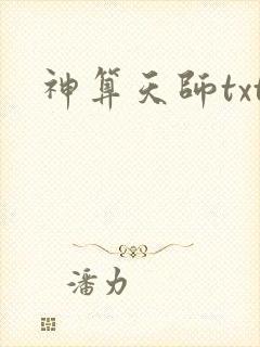 神算天师txt