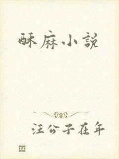 酥麻小说