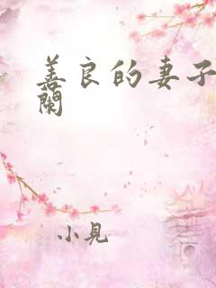 善良的妻子王晓兰