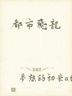 都市飞龙