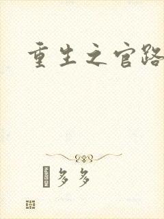 重生之官路情长