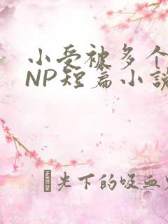 小受被多个攻强NP短篇小说