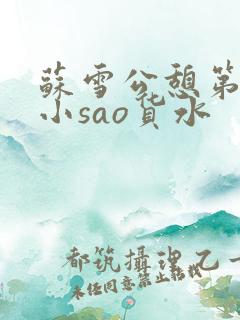 苏雪公憩第一章小sao货水