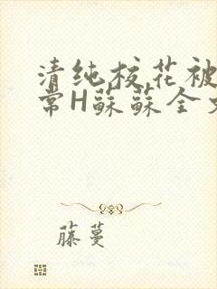 清纯校花被脔日常H苏苏全文免费