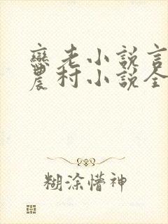 恋老小说言情网农村小说全文阅读