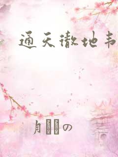 通天彻地韦小宝