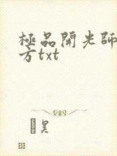 极品开光师李南方txt