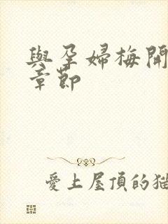 与孕妇梅开三度章节