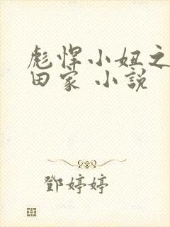 彪悍小妞之鱼水田家 小说