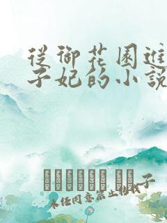 从御花园进入太子妃的小说