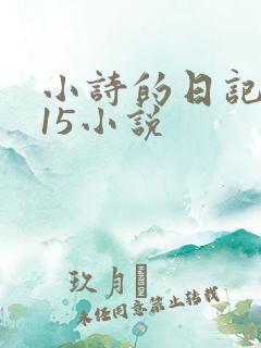 小诗的日记1一15小说