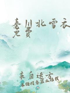 秦川北雪衣小说免费