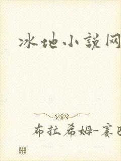 冰地小说网