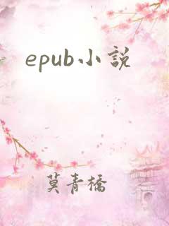 epub小说