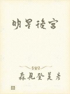 明星后宫