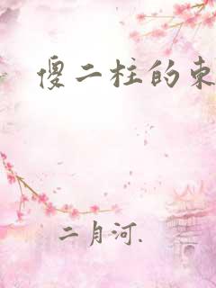 傻二柱的东西大