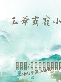 王爷霸宠小甜妻