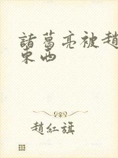 诸葛亮被赵云塞东西