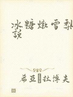 冰糖炖雪梨 小说