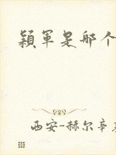 颖军是哪个军阀