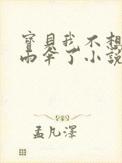 宝贝我不想带小雨伞了小说