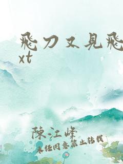 飞刀又见飞刀txt