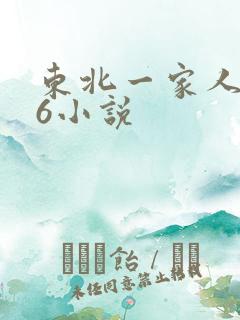 东北一家人1一6小说