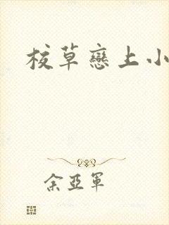 校草恋上小丫头