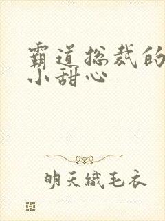 霸道总裁的宠爱小甜心