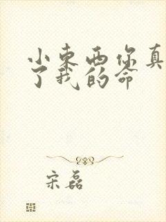 小东西你真能要了我的命